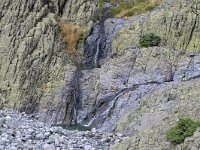 E, Avila, Guisando, Galayos valley 14, Saxifraga-Tom Heijnen