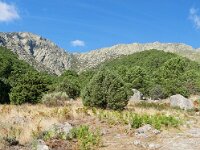 E, Avila, Guisando, Galayos valley 2, Saxifraga-Tom Heijnen