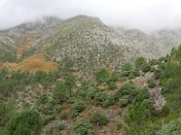 E, Avila, Guisando, Galayos valley 24, Saxifraga-Tom Heijnen