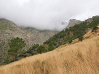 E, Avila, Guisando, Galayos valley 28, Saxifraga-Tom Heijnen