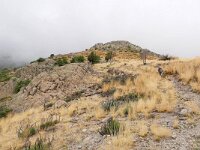 E, Avila, Guisando, Galayos valley 35, Saxifraga-Tom Heijnen