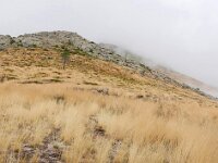 E, Avila, Guisando, Galayos valley 36, Saxifraga-Tom Heijnen