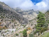 E, Avila, Guisando, Galayos valley 5, Saxifraga-Tom Heijnen