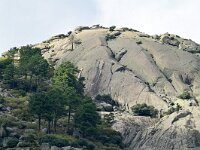 E, Avila, Guisando, near village 3, Saxifraga-Tom Heijnen