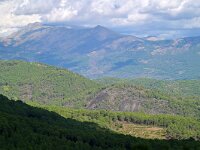 E, Avila, Guisando, near village 8, Saxifraga-Tom Heijnen