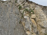 E, Cantabria, Liencres, Punta del Pino 74, Saxifraga-Willem van Kruijsbergen