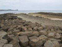 E, Cantabria, Miengo, Playa de los Caballos 21, Saxifraga-Willem van Kruijsbergen