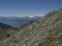 CH, Wallis, Anniviers, Schwarzhorn 4, Saxifraga-Willem van Kruijsbergen