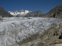 CH, Wallis, Riederalp, Grosser Aletschgletscher 1, Saxifraga-Willem van Kruijsbergen