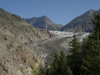 CH, Wallis, Riederalp, Grosser Aletschgletscher 33, Saxifraga-Willem van Kruijsbergen
