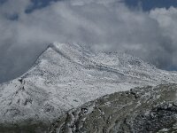 CH, Wallis, Saas Almagell, Mattmark 33, Saxifraga-Willem van Kruijsbergen