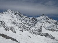 CH, Wallis, Saas Fee, Dom 2, Saxifraga-Willem van Kruijsbergen