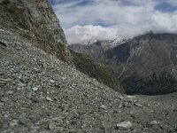 CH, Wallis, Saas Fee, Egginerjoch 8, Saxifraga-Willem van Kruijsbergen