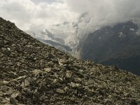 CH, Wallis, Saas Grund, Malliga 6, Mischabel, Saxifraga-Willem van Kruijsbergen