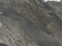 CH, Wallis, Zermatt, Gornergrat, Gornergletscher 2, moraine, Saxifraga-Willem van Kruijsbergen