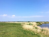 D, Schleswig-Holstein, Sylt, Waadens-Sil 1, Saxifraga-Bart Vastenhouw