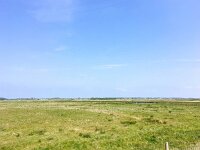 D, Schleswig-Holstein, Sylt, Waadens-Sil 2, Saxifraga-Bart Vastenhouw