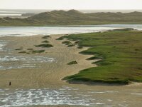 NL, Friesland, Terschelling, Noordsvaarder 94, Saxifraga-Foto Fitis-Sytske Dijksen