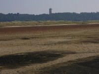 NL, Friesland, Terschelling, Noordvaarder 38, Saxifraga-Hans Boll
