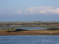 NL, Friesland, Vlieland, Derde Kroons Polder 3, Saxifraga-Hans Boll