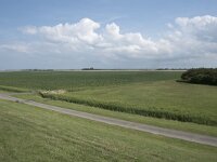 NL, Groningen, Het Hogeland, Noordpolderzijl 29, Saxifraga-Willem van Kruijsbergen