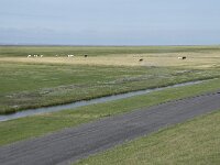 NL, Groningen, Het Hogeland, Noordpolderzijl 6, Saxifraga-Willem van Kruijsbergen