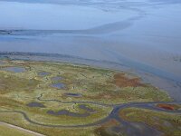 NL, Noord-Holland, Texel, De Schorren 13, Saxifraga-Foto Fitis-Sytske Dijksen