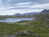 N, Finnmark, Nordkapp, Gjesvaer 16, Saxifraga-Willem van Kruijsbergen