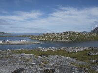 N, Finnmark, Nordkapp, Gjesvaer 4, Saxifraga-Willem van Kruijsbergen