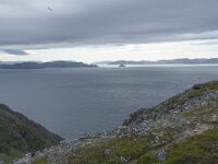 N, Finnmark, Nordkapp, Gjesvaer, Stortuva 1, Saxifraga-Willem van Kruijsbergen