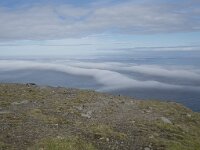 N, Finnmark, Nordkapp, Nordkapp 31, Saxifraga-Willem van Kruijsbergen