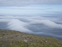 N, Finnmark, Nordkapp, Nordkapp 32, Saxifraga-Willem van Kruijsbergen