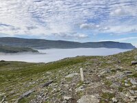N, Finnmark, Nordkapp, Skarsvag 7, Saxifraga-Willem van Kruijsbergen