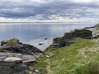N, Finnmark, Porsanger, Russenes 1, Saxifraga-Willem van Kruijsbergen