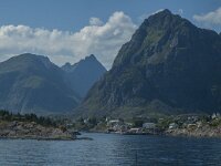 N, Innlandet, Moskenes 8, Saxifraga-Marijke Verhagen