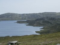 N, Innlandet, Oystre Slidre, Beitostolen 2, Saxifraga-Willem van Kruijsbergen