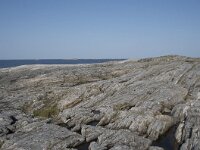 N, More og Romsdal, Eide, Atlanterhavsvegen 22, Saxifraga-Willem van Kruijsbergen