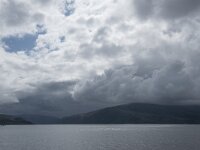 N, Nordland, Alstahaug, Langholmen 10, Saxifraga-Willem van Kruijsbergen