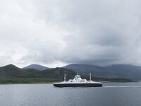 N, Nordland, Alstahaug, Langholmen 7, Saxifraga-Willem van Kruijsbergen