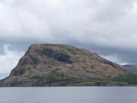 N, Nordland, Alstahaug, Rodoya 1, Saxifraga-Willem van Kruijsbergen