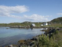 N, Nordland, Oksnes, Sto 7, Saxifraga-Willem van Kruijsbergen