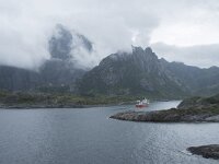 N, Nordland, Vagan, Orsnes 19, Saxifraga-Willem van Kruijsbergen
