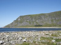 N, Nordland, Vestvagoy, Unstad 1, Saxifraga-Willem van Kruijsbergen