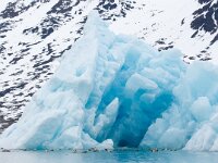N, Spitsbergen, Kongsfjord 13, Saxifraga-Bart Vastenhouw