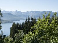 N, Troms, Senja, Skaland 2, Saxifraga-Willem van Kruijsbergen