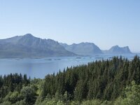 N, Troms, Senja, Skaland 3, Saxifraga-Willem van Kruijsbergen