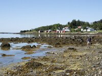 N, Troms, Senja, Skaland 8, Saxifraga-Willem van Kruijsbergen