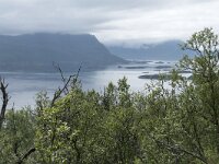 N, Troms, Senja, Skaland, Sommardalen 8, Saxifraga-Willem van Kruijsbergen