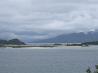 N, Troms, Tromso, Sommaroy 2, Saxifraga-Willem van Kruijsbergen