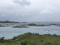 N, Troms, Tromso, Sommaroy 26, Saxifraga-Willem van Kruijsbergen